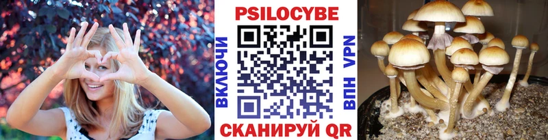 Псилоцибиновые грибы мухоморы  Купить  Ртищево 